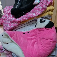 Girls Bundle age 11-12