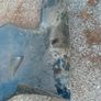 HONDA NS1 right side fareing Image 2