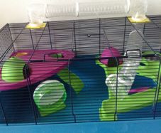 Large cage for hamster/ gerbils/ mice/ Guinea pigs . Cage accessories
