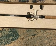 Rovex 2000 & Jarvis Walker Rod
