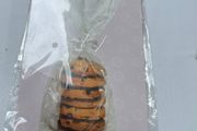 Cookie Gift Bags
