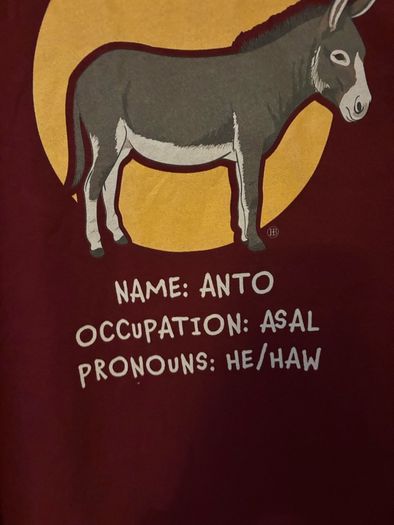 Brand New Funny Hairy Baby Donkey Pronouns Cotton T-Shirt L
