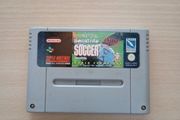 International Sensible Soccer World Champions Nes