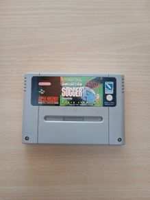 International Sensible Soccer World Champions Nes
