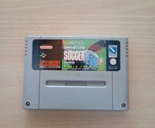 International Sensible Soccer World Champions Nes
