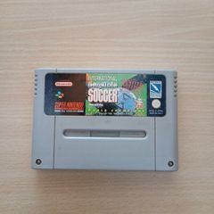 International Sensible Soccer World Champions Nes