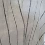 Top Image 3