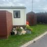 Willerby Aspen Mobile home with Decking & Shed Image 4