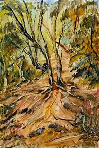 bray head forest walk watercolour