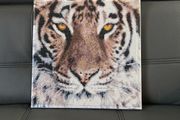 Tiger diamond picture on canvas