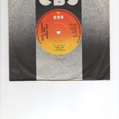 Gary Puckett & The Union Gap Young Girl 1974 Uk Pressing Hall Of Fame Hits