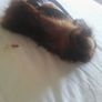 Brown Fur Bag Image 2