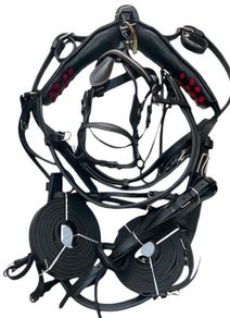 tie down harness