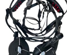 tie down harness