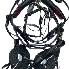tie down harness