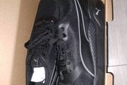 puma trainers