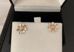 Sterling Silver Earring