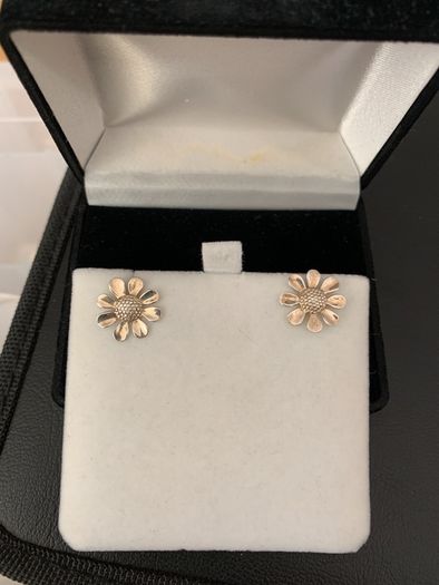 Sterling Silver Earring