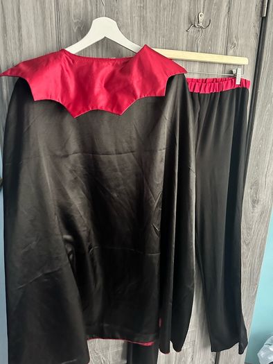 Fancy Dress Costume