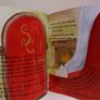 The Fairy Who Saved Christmas Story Book Image 6