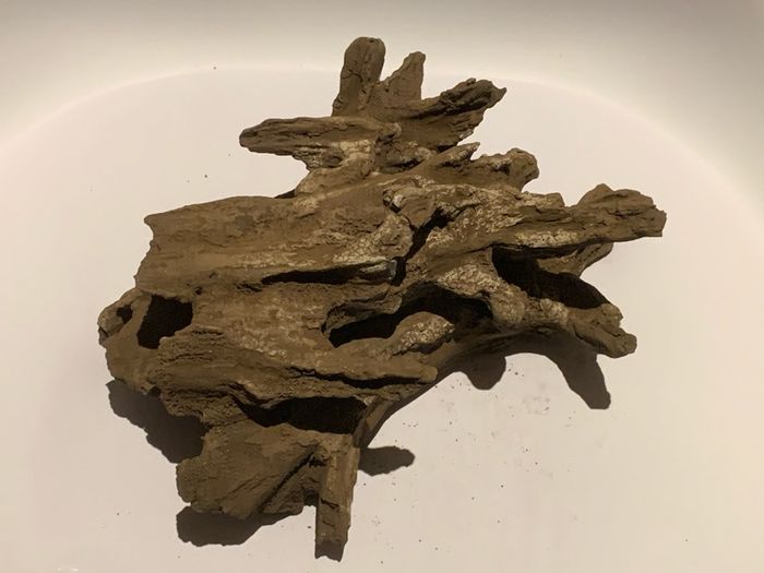 Hiding Clay cave like wood for pleco / cichlid