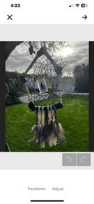 Deer Bone Dreamcatcher with Water Beetle and Feathers Unusual Oddity Wall Decor Hanging