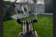 Deer Bone Dreamcatcher with Water Beetle and Feathers Unusual Oddity Wall Decor Hanging