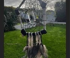 Deer Bone Dreamcatcher with Water Beetle and Feathers Unusual Oddity Wall Decor Hanging