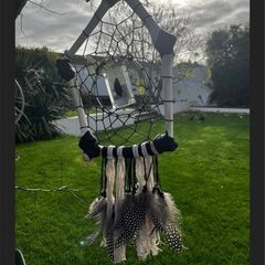 Deer Bone Dreamcatcher with Water Beetle and Feathers Unusual Oddity Wall Decor Hanging
