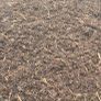 Fine Bark / Mulch Image 5