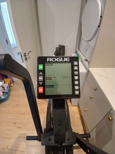 Assault Air Bike - Rogue Echo