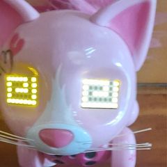 Interactive robot cat