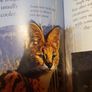 Big Cats Eyewonder Enter A World Of Discovery Image 4