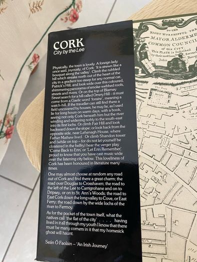 Cork-City by The Lee