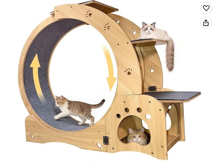 Cat Wheel (large)