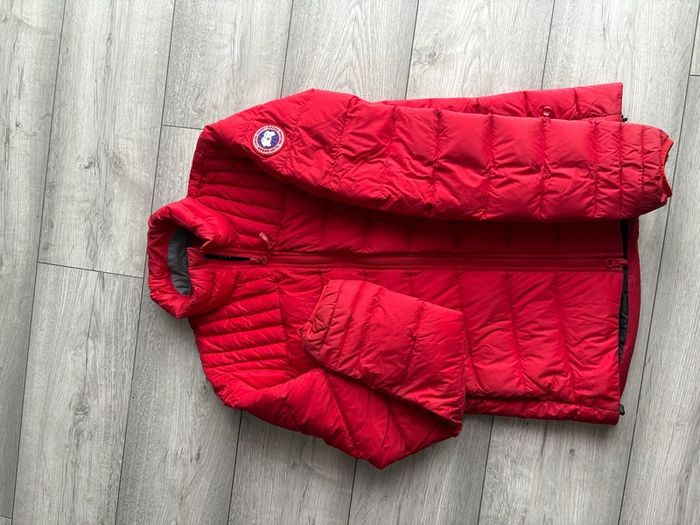 canada goose