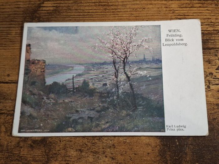 Vintage Postcard Karl Ludwig Prinz - "View from Leopoldsberg", Vienna, Austria - free standard postage