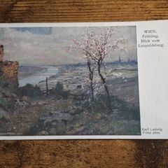 Vintage Postcard Karl Ludwig Prinz - "View from Leopoldsberg", Vienna, Austria - free standard postage