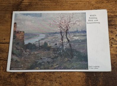 Vintage Postcard Karl Ludwig Prinz - "View from Leopoldsberg", Vienna, Austria - free standard postage