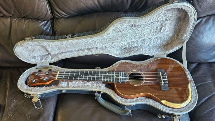 Barnes and Mullins Ukulele with hardcase