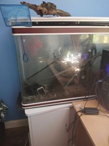 Fish Tank and accessories