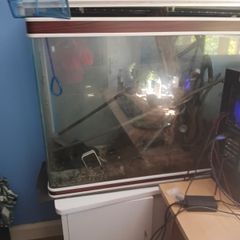 Fish Tank and accessories