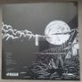 Fever Ray vinyl lot 2 lp Image 4