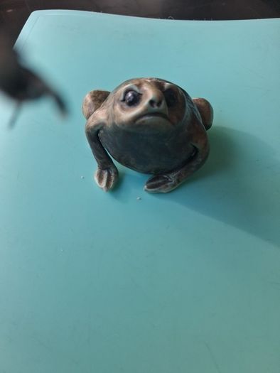 Ornamental Frogs