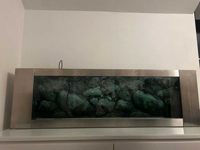 Shallow Fish Tank