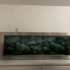 Shallow Fish Tank