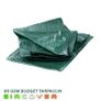 Budget Tarpaulin 10m x 10m (33' -33') 80 gsm green Image 2