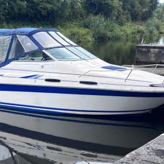 Boat - SeaRay Sports Cruiser - 4 berth