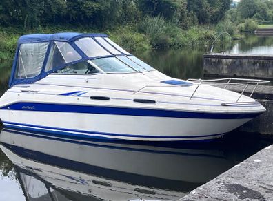 Boat - SeaRay Sports Cruiser - 4 berth