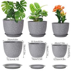 Plant pots, New